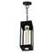Cwi Lighting Rochester LED Integrated Black Outdoor Ceiling Light 1696P5-1-101 - alternate 5